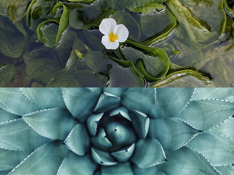 軟件開(kāi)發(fā)項(xiàng)目