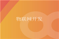 軟件開發(fā)應該以技術(shù)為本，服務取勝