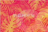 國內移動app開發，提供什么服務