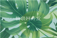 云計算是什么？提供幾種服務形式？