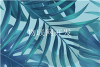 云服務的安全性有保證嗎？