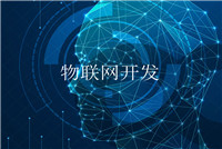 企業(yè)軟件定制開發(fā)有哪些優(yōu)勢(shì)