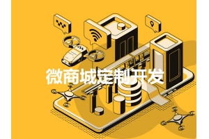 微商城定制開發(fā)應(yīng)當(dāng)需要注意哪些問(wèn)題呢？