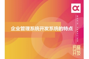 企業(yè)管理系統(tǒng)開發(fā)系統(tǒng)的特點(diǎn)有哪些呢？
