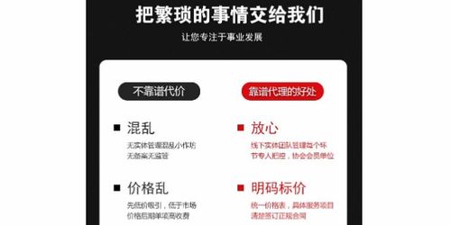 商務(wù)代理代辦服務(wù) 企業(yè)高效運(yùn)營(yíng)的加速器