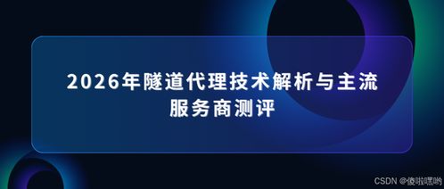 2026年隧道代理技術解析與主流服務商測評